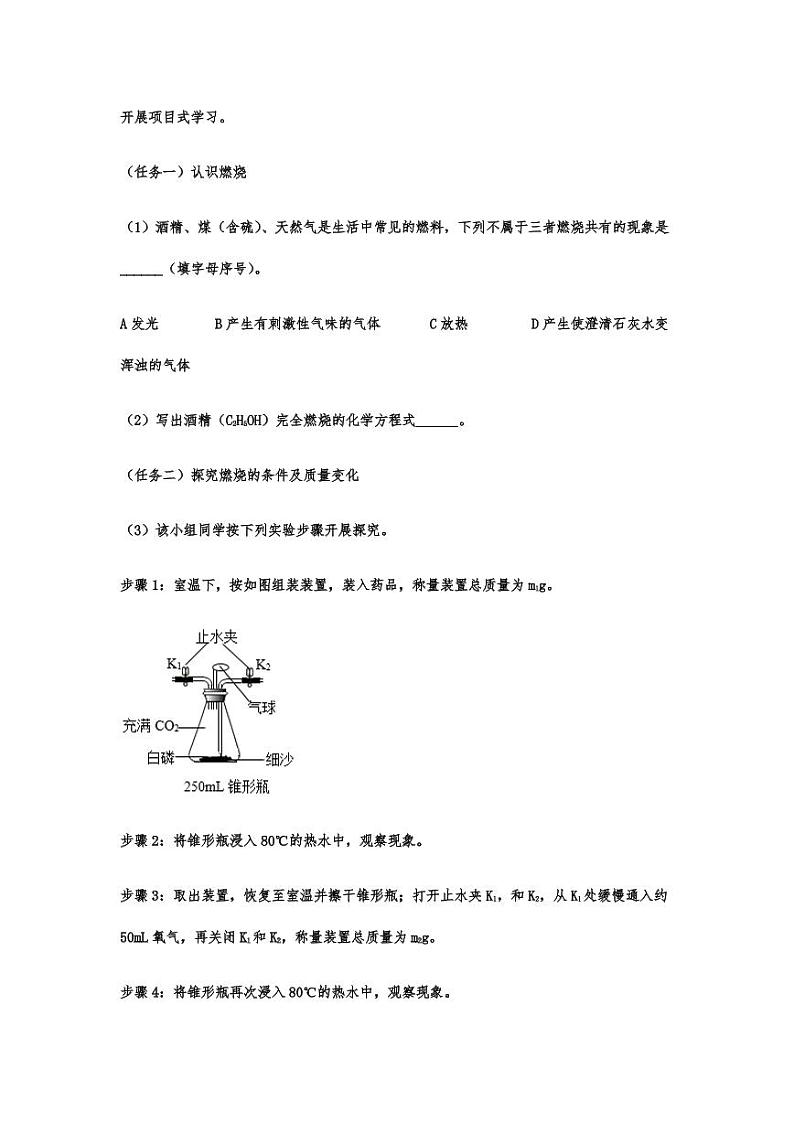 2021年中考化学真题分类汇编：科学探究专项复习解析版第3页