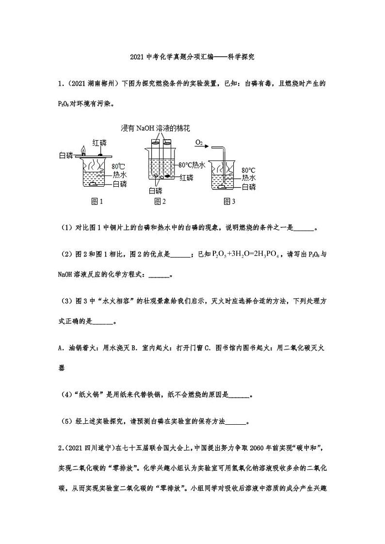 2021年中考化学真题分项汇编：科学探究专项复习解析版第1页