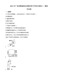 2021年⼴东深圳福⽥区深圳红岭中学初中部初三一模：化学试卷（含解析）