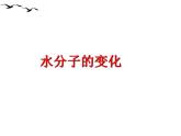 鲁教初中化学九上《第二单元 探索水世界  第二节 水分子的变化》课件PPT