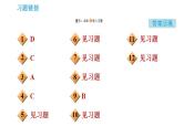 沪教版九年级化学 期末复习专题 专题3 物质的推断 习题课件