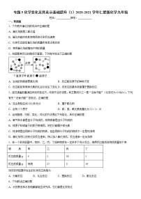 初中化学仁爱湘教版九年级上册专题五 化学变化及其表示综合与测试课时作业