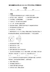 湖北省襄阳市老河口市2020-2021学年九年级上学期期末化学试题(word版含答案)