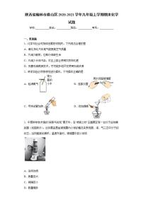 陕西省榆林市横山区2020-2021学年九年级上学期期末化学试题(word版含答案)