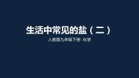 人教版九年级下册课题1 生活中常见的盐课前预习ppt课件