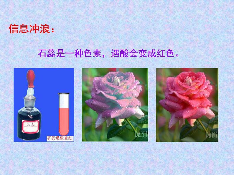 6.3 大自然中的二氧化碳（10）（课件）化学九年级上册-鲁教版第6页