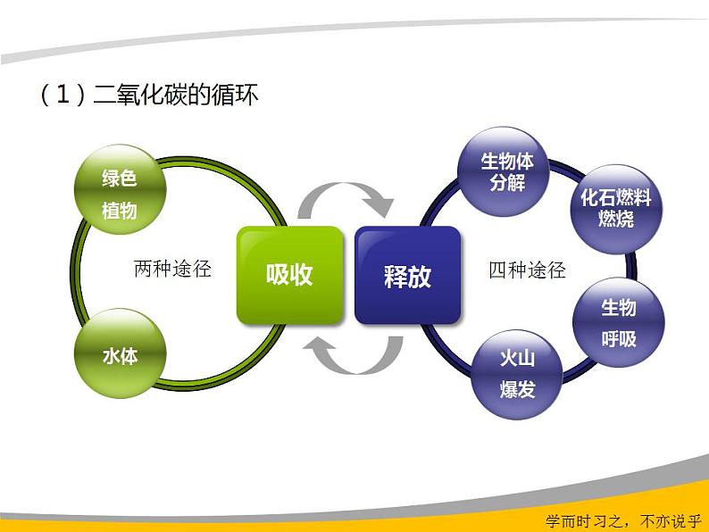 6.3 大自然中的二氧化碳（9）（课件）化学九年级上册-鲁教版07