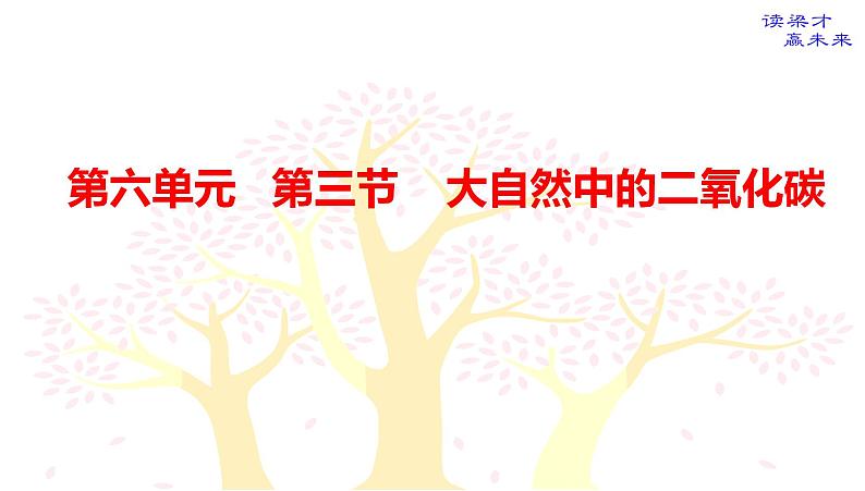 鲁教版九年级化学上册 6.3 大自然中的二氧化碳课件PPT第2页