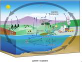 鲁教版九年级化学上册 6.3 大自然中的二氧化碳课件PPT