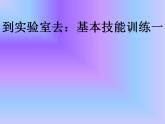 鲁教版九年级化学上册 第1单元 到实验室去：化学实验基本技能训练（一）课件PPT