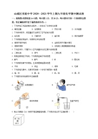 河南省鹤壁市山城区实验中学2020-2021学年九年级上学期期中化学试题 (2)