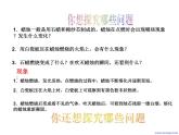 2021-2022学年度沪教版九年级化学上册课件 1.2 化学研究些什么