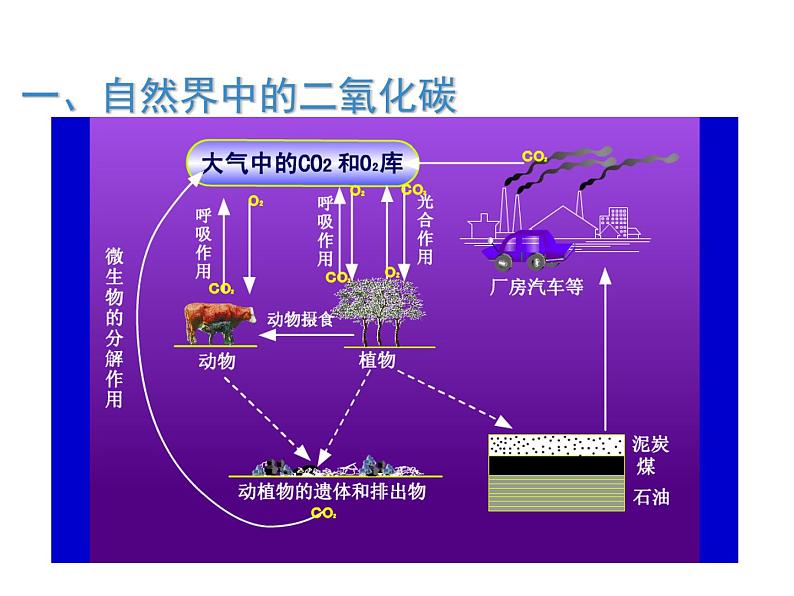 2021-2022学年度沪教版九年级化学上册课件  2.2 奇妙的二氧化碳第2页