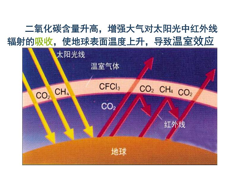 2021-2022学年度沪教版九年级化学上册课件  2.2 奇妙的二氧化碳第4页