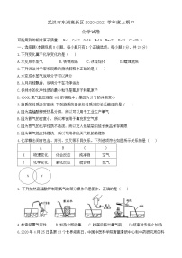 湖北省武汉市东湖高新区2020-2021学年九年级上学期期中考试化学试卷（word版无答案）