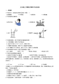 2021年河南省新乡市九年级上学期化学期中考试试卷