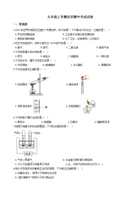 2021年广西梧州市岑溪市上学期化学期中考试试卷