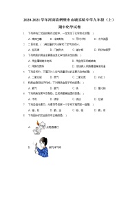 2020-2021学年河南省鹤壁市山城实验中学九年级（上）期中化学试卷