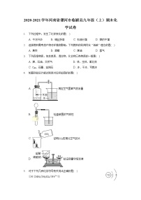 2020-2021学年河南省漯河市临颍县九年级（上）期末化学试卷