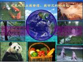 人教版九年级化学上册 4.3 水的组成（23）课件PPT