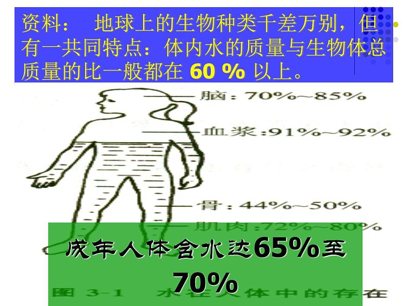 人教版九年级化学上册 4.3 水的组成（23）课件PPT第3页