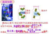 2.4 元素（11）（课件）化学九年级上册-鲁教版