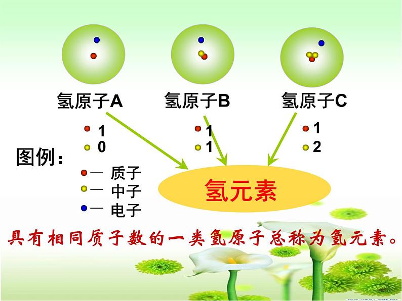 2.4 元素（11）（课件）化学九年级上册-鲁教版08