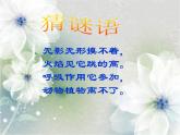 4.3 氧气（11）（课件）化学九年级上册-鲁教版