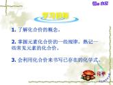 4.2 物质组成的表示（12）（课件）化学九年级上册-鲁教版