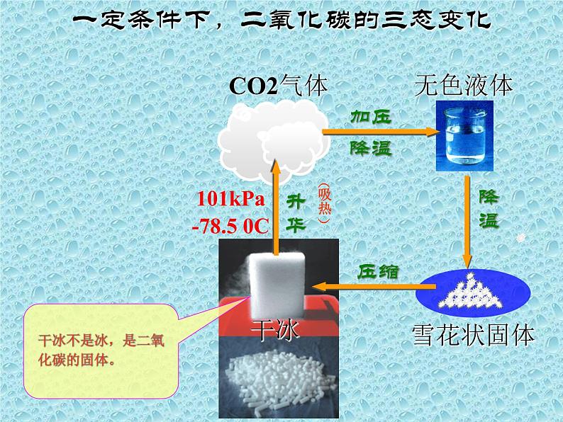 6.3 大自然中的二氧化碳（11）（课件）化学九年级上册-鲁教版03