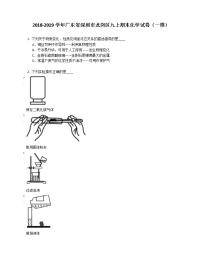 2018-2019学年广东省深圳市龙岗区九上期末化学试卷（一模）含答案