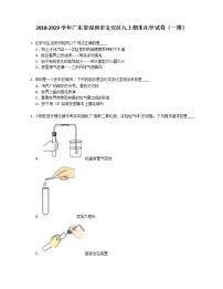 2018-2019学年广东省深圳市宝安区九上期末化学试卷（一模）含答案