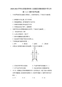 2020-2021学年江苏省苏州市工业园区星海实验中学九年级（上）期中化学试卷