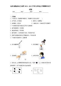 山东省临沂市兰山区2021--2022学年九年级上学期期中化学试题（word版 含答案）