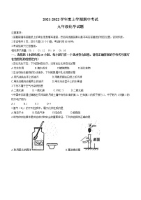 山东省泰安市肥城市2021-2022学年九年级上学期期中化学试题（word版 含答案）