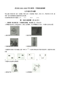 陕西省咸阳市武功县2021-2022学年九年级上学期期中化学试题（word版 含答案）