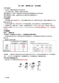 九年级下册课题1 常见的酸和碱优秀学案