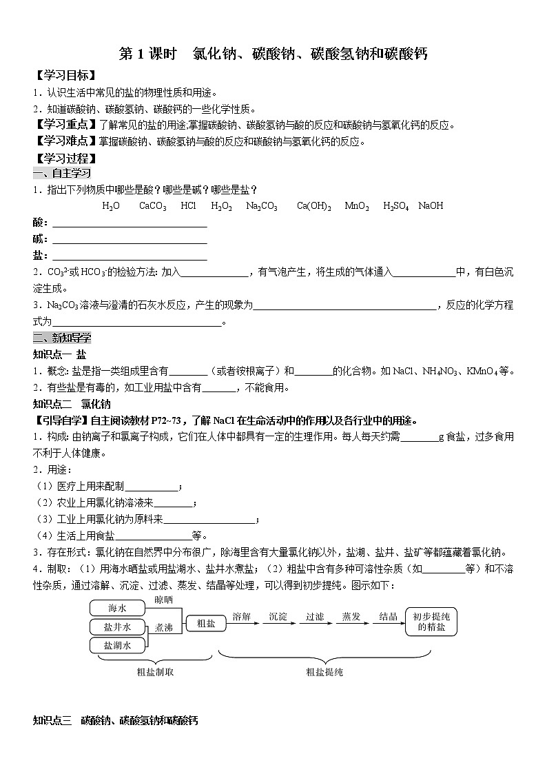 11.1.1 氯化钠、碳酸钠、碳酸氢钠和碳酸钙 学案及答案（学生用+教师用）01