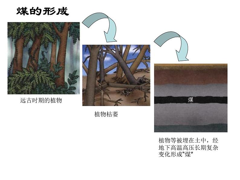 科粤版化学九年级上册5.4 古生物“遗产”—化石燃料 课件 PPT第8页