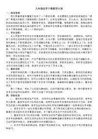 鲁教版化学九年级下册教学计划+教学进度安排