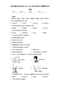 山东省泰安市东平县2021-2022学年九年级上学期期中化学试题（word版 含答案）