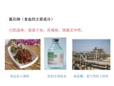 2021-2022学年度科粤版九年级化学下册课件 8.4  常见的盐