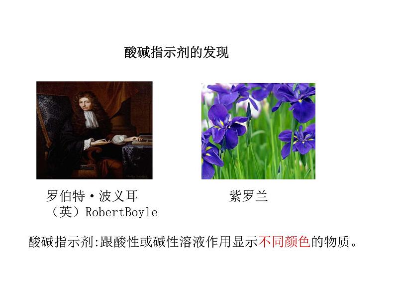 2021-2022学年年鲁教版九年级化学下册课件 第3节  溶液的酸碱性03