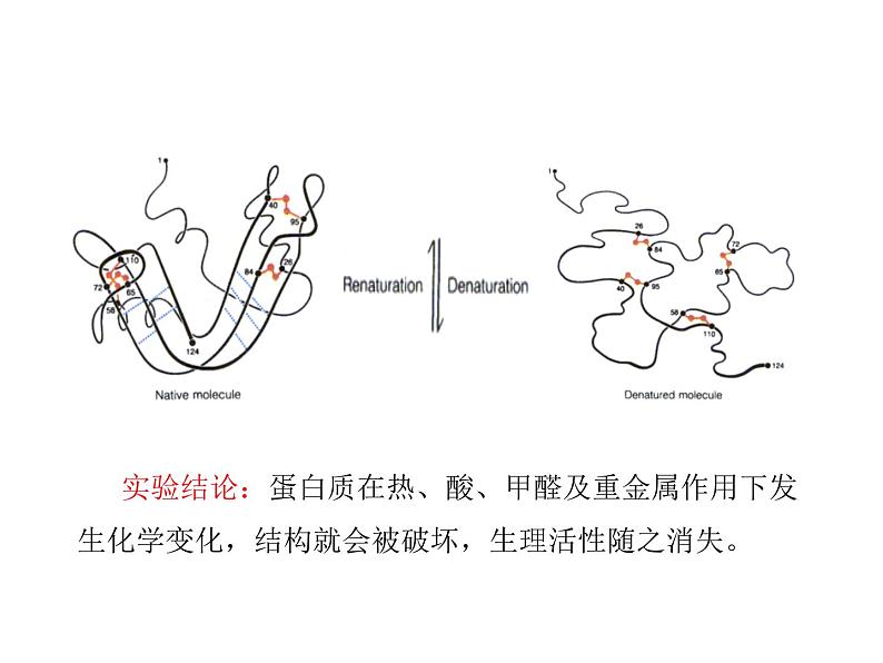 2021-2022学年年鲁教版九年级化学下册课件第3节  远离有毒物质第7页