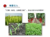 2021-2022学年年人教版九年级化学下册课件课题2  化学肥料