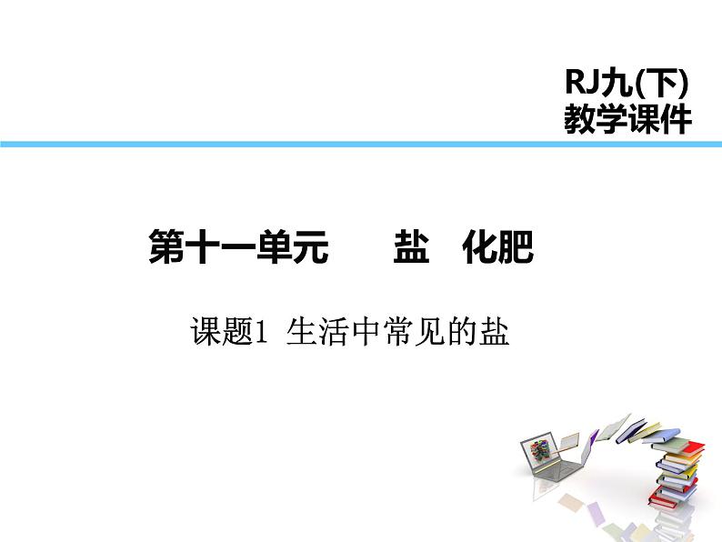 2021-2022学年年人教版九年级化学下册课件课题1  生活中常见的盐01