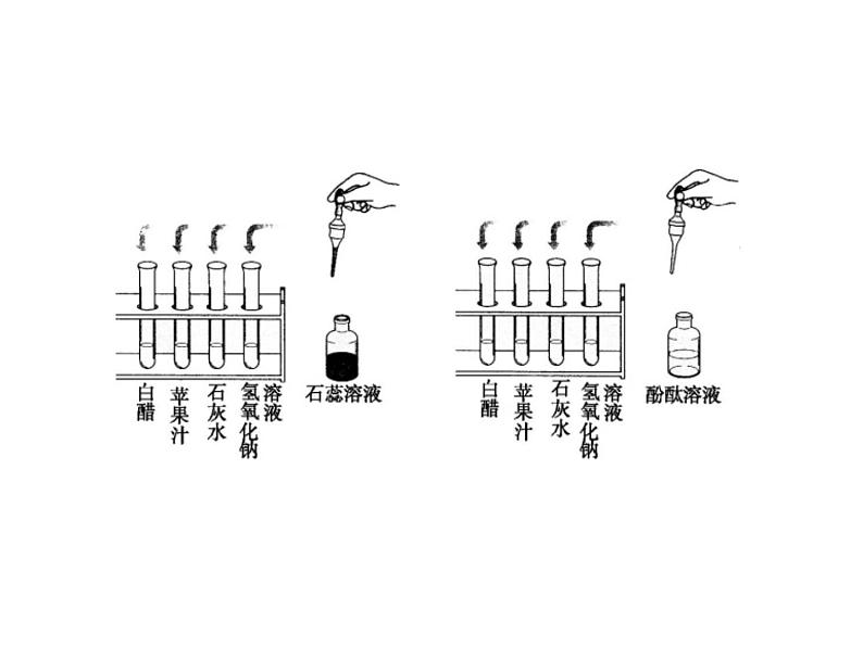 2021-2022学年年人教版九年级化学下册课件课题1  常见的酸和碱第6页