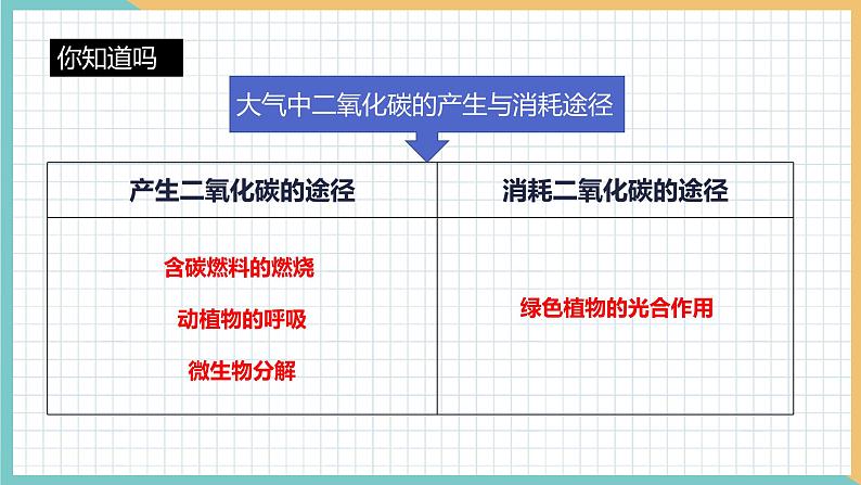 2021年初中化学 沪教版（全国）九年级上册 第2章 第2节  奇妙的二氧化碳（第1课时） 同步课件06