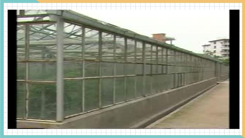 2021年初中化学 沪教版（全国）九年级上册 第2章 第2节  奇妙的二氧化碳（第1课时） 同步课件08