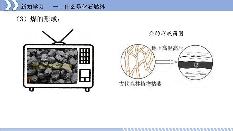 第五章 5.4 古生物的“遗产”——化石燃料 课件 初中化学科粤版九年级上册（2021年）第8页